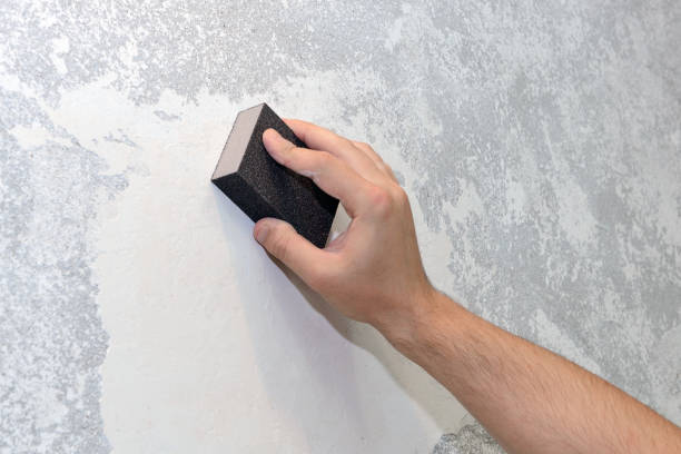 Best Mold Remediation for Healthcare Facilities  in Seaford, NY