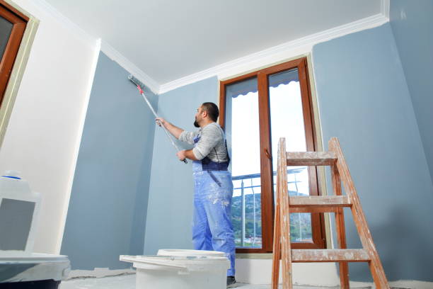 Best Mold Documentation for Insurance Claims  in Seaford, NY