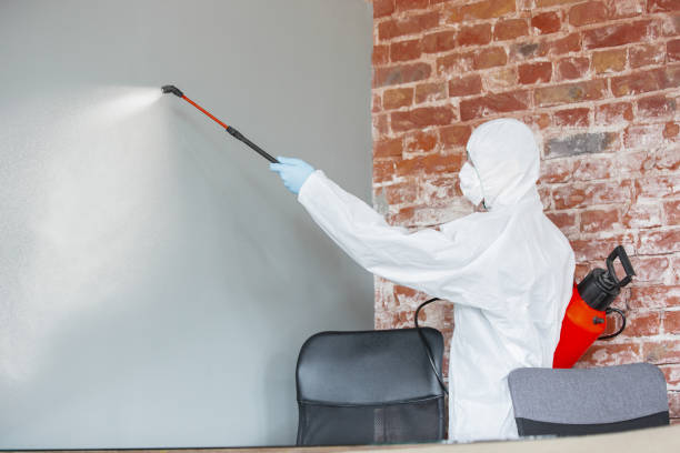 Best Industrial Mold Remediation  in Seaford, NY