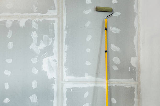 Best Mold Removal for HVAC Installations  in Seaford, NY