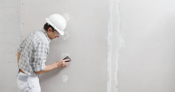 Best Mold Damage Restoration  in Seaford, NY