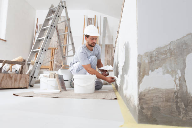 Best Mold Prevention Services  in Seaford, NY
