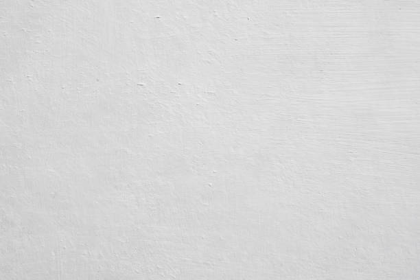 Best Black Mold Removal  in Seaford, NY