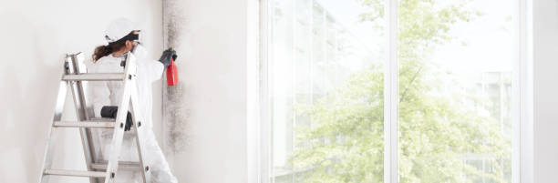 Best Comprehensive Air Testing for Mold Contaminants  in Seaford, NY