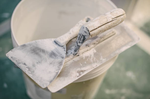 Best Emergency Mold Remediation  in Seaford, NY
