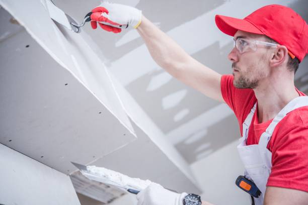 Best Residential Mold Inspection & Testing  in Seaford, NY